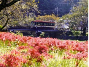 ͥ���ޡ���̾������ˬ�� 1