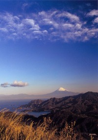 ͥ���ޡ���̾����� 1