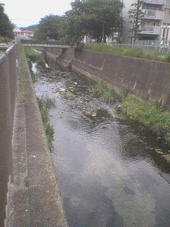 足元を流れる深い川 Will You Please Be Quiet Please