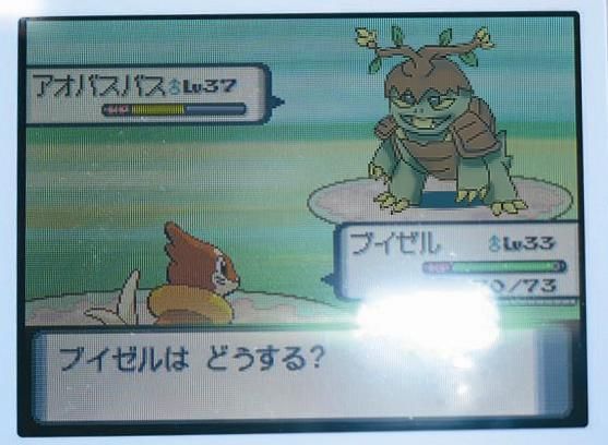 ポケモン 没データ ダゲキ トップダウンロードランダム画像 21