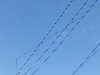 P7060923