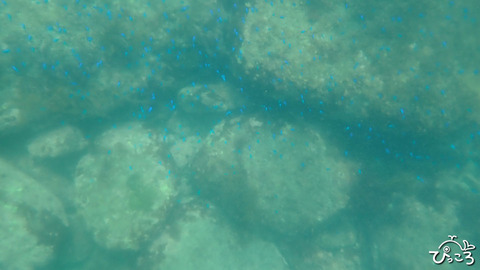 P8080059
