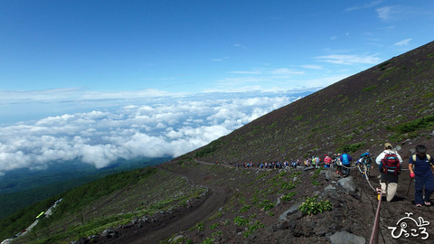 富士山