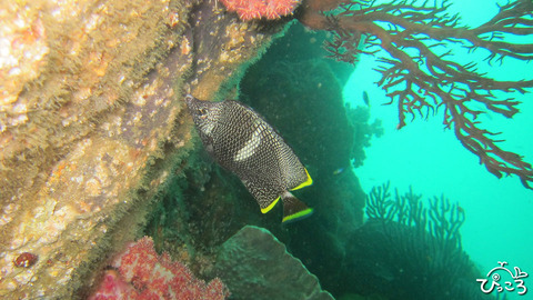 20160918ユウゼン