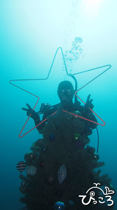 1201_クリスマスツリーと一緒