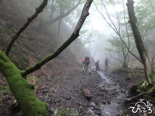 沢沿いの登山道