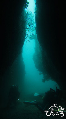 1017＿CAVE