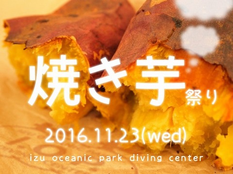 yakiimo_iop