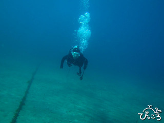 2012-11-20砂地@熱川