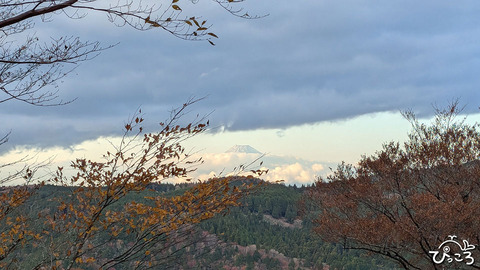 遠くに富士山_20251119_06384