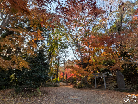 関東人気の山、目白押し