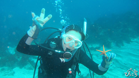 1129_diver