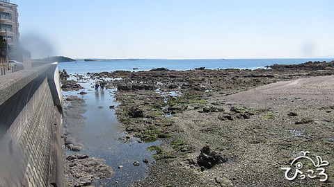 ビーチエントリー