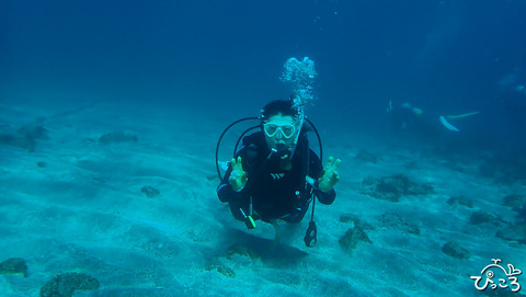 ゲストさん_PB220220