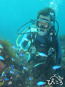 1120_diver