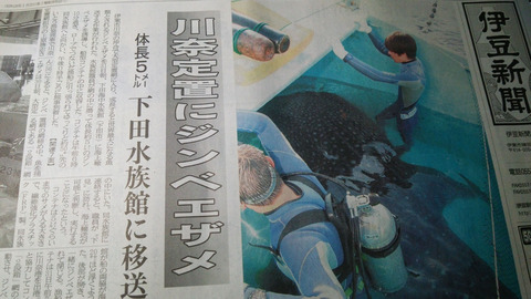 20140801伊豆新聞