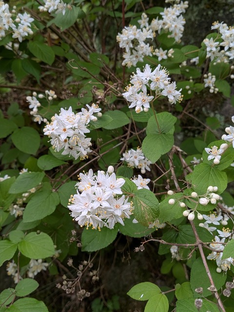PXL_20260505_223002978