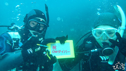 0501_OWダイバー