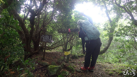 山頂にて_P8221922