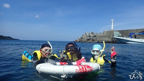 午後のゲストさん_P8010061