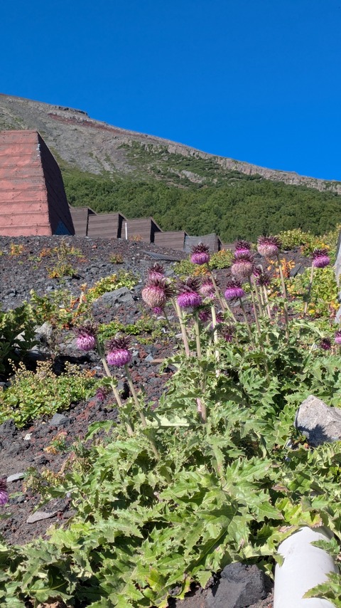 PXL_20250901_223152479