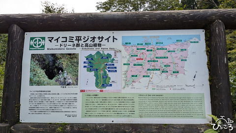 マイコミ平_20240914_0229233