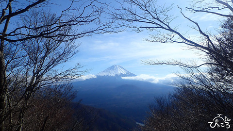 三方分山からの富士山_PB2229