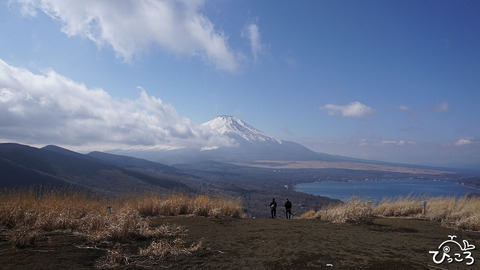 山中湖と富士山_鉄炮木