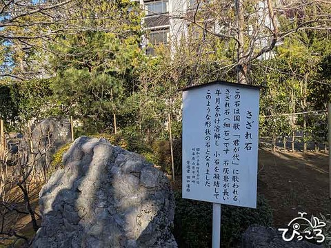 さざれ石_260118_001315468.M