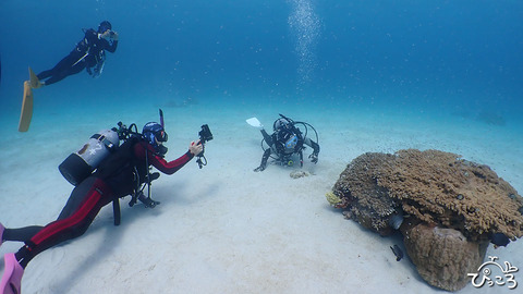 クリアな海の中_PB183214