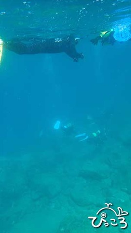 20190916_ダイバーの上にぷか