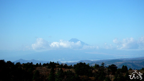 富士山みえました_PB210030
