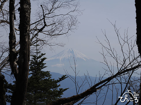 富士山＿O3220271