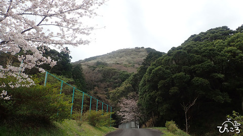 高通山登山口_P3292232