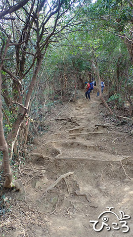 急な下り_P3171839