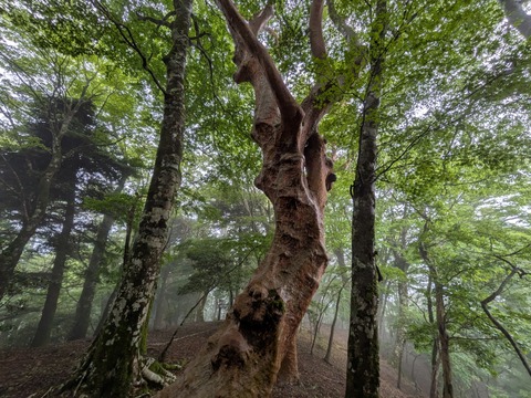 PXL_20260523_064439860