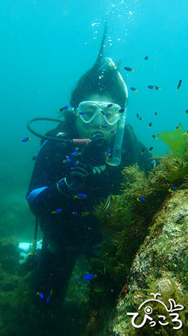 体験ダイビング_P8170107