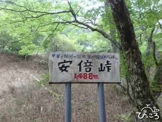 安倍峠