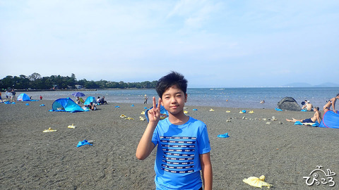 ジュニアダイバー