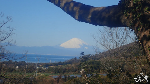 三浦富士からの富士山_P12600