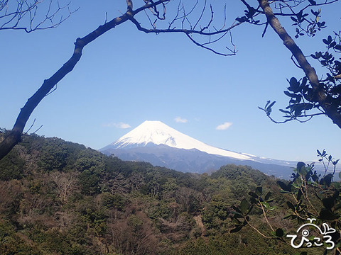 3月8日(日)奥沼津アルプス