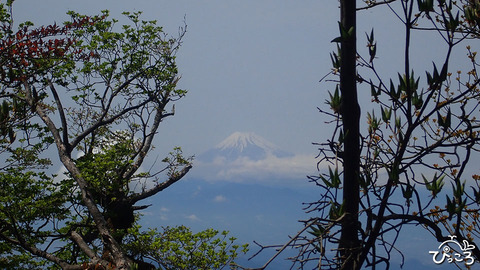 富士山_P5140344