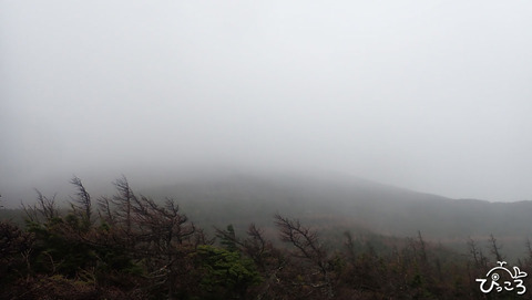 雲の中_PB100606