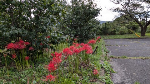 PXL_20240922_064703780