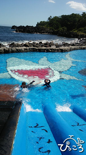 0806_iopプール
