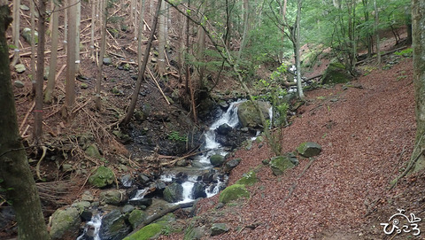 沢沿いの登山道_P6200210
