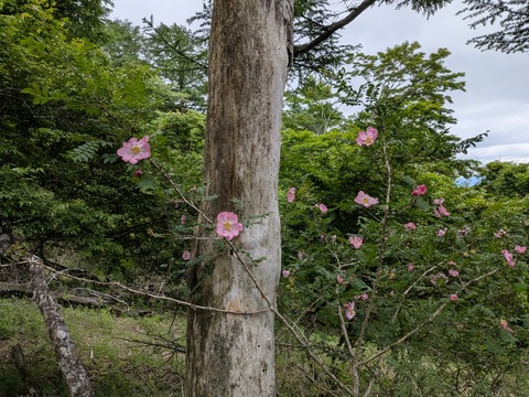 PXL_20260605_014635772