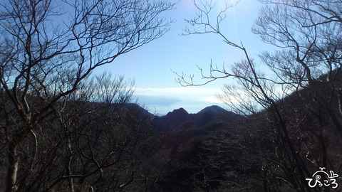 191208_鋸岳の向こうに海