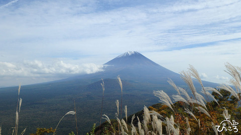 1015_fuji