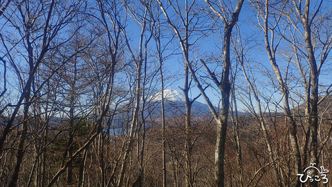 ずーっと富士山_PC170043